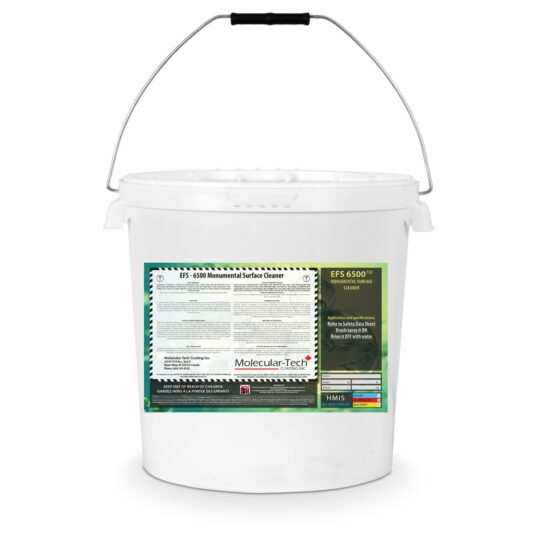 EFS-6500 MONUMENTAL SURFACE CLEANER
